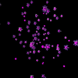 Showcase Example of Arranging Neuron Components 1
